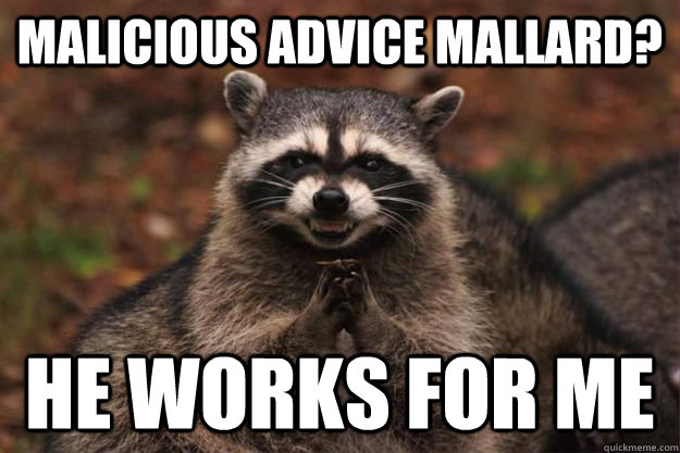 Malicious Advice Mallard? He works for me - Malicious Advice Mallard? He works for me  Evil Plotting Raccoon