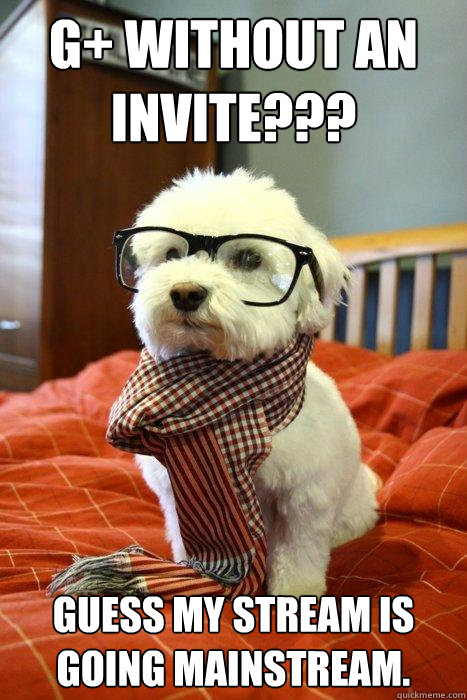 G+ without an invite??? Guess my stream is going Mainstream.  Hipster Dog