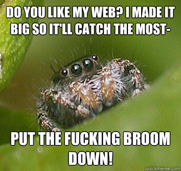 DO YOU LIKE MY WEB? I MADE IT BIG SO IT'LL CATCH THE MOST- PUT THE FUCKING BROOM DOWN!  Misunderstood Spider