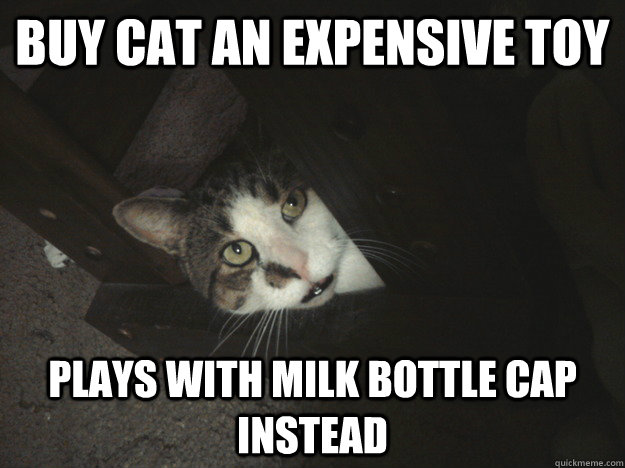 Buy cat an expensive toy Plays with milk bottle cap instead - Buy cat an expensive toy Plays with milk bottle cap instead  Scumbag Cat