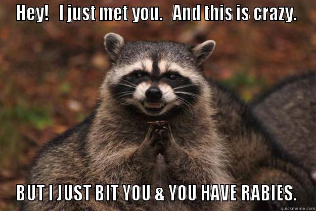 HEY!   I JUST MET YOU.   AND THIS IS CRAZY. BUT I JUST BIT YOU & YOU HAVE RABIES. Evil Plotting Raccoon