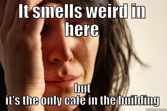 Swan Cafe - IT SMELLS WEIRD IN HERE BUT IT'S THE ONLY CAFE IN THE BUILDING First World Problems