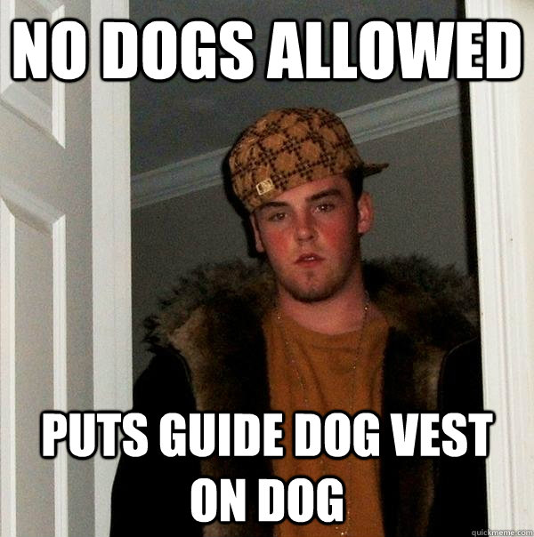 No dogs allowed puts guide dog vest on dog - No dogs allowed puts guide dog vest on dog  Scumbag Steve