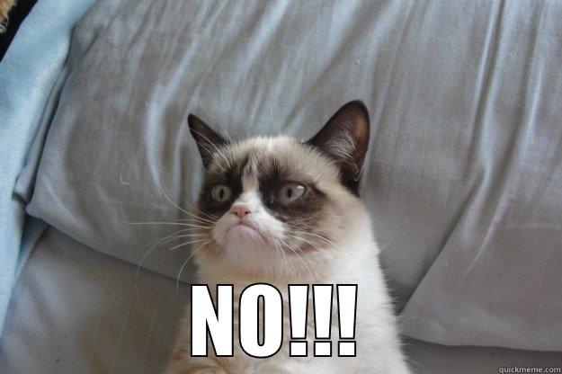  NO!!! Grumpy Cat