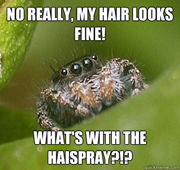 No really, my hair looks fine! what's with the haispray?!? - No really, my hair looks fine! what's with the haispray?!?  Misunderstood Spider