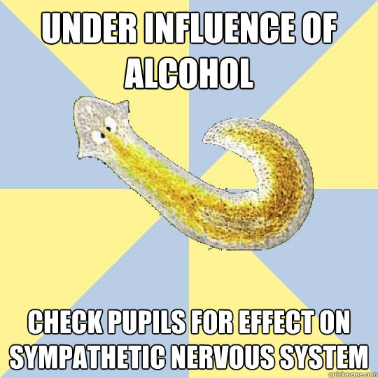 under influence of alcohol check pupils for effect on sympathetic nervous system  Bio Major Planarian