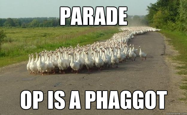 PARADE OP IS A PHAGGOT  Lolduck