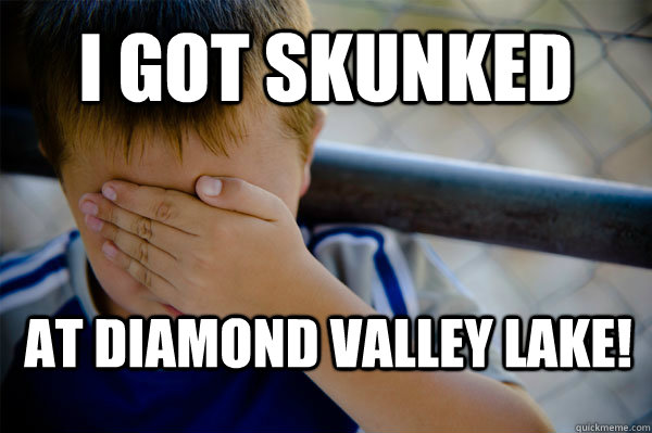 I got skunked At Diamond Valley Lake!   Confession kid