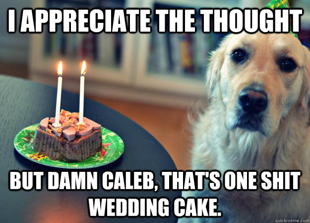 I appreciate the thought but damn Caleb, that's one shit wedding cake.  Sad Birthday Dog