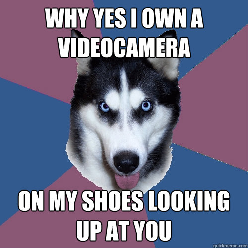 Why yes I own a videocamera On my shoes looking up at you - Why yes I own a videocamera On my shoes looking up at you  Creeper Canine