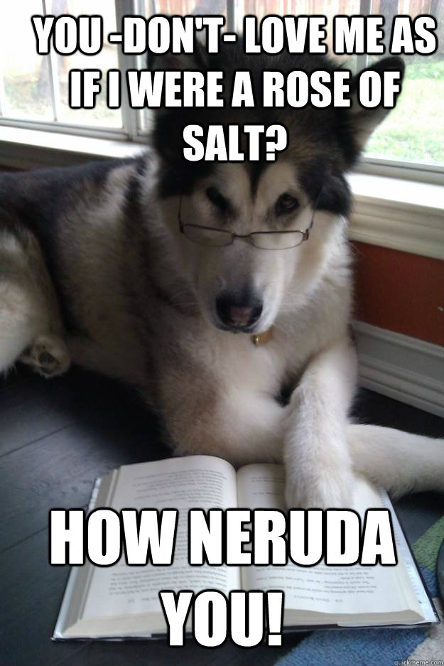 You -don't- love me as if I were a rose of salt? How neruda you!  Condescending Literary Pun Dog