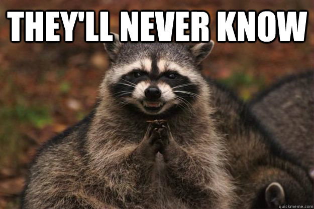 they'll never know   Evil Plotting Raccoon