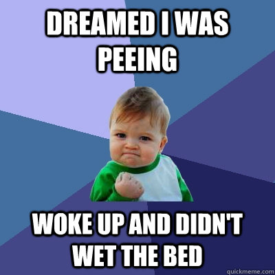 Dreamed I was peeing Woke up and didn't wet the bed  Success Kid