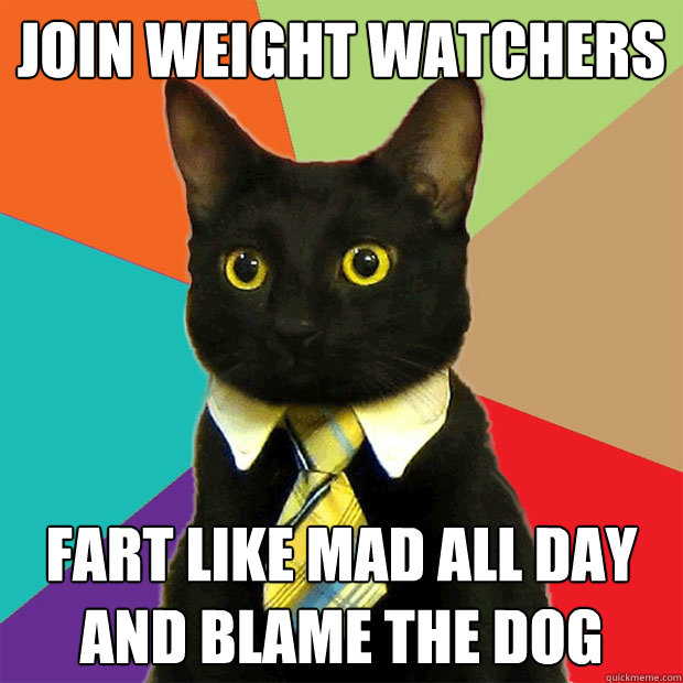 Join Weight Watchers Fart like mad all day and blame the dog  Business Cat