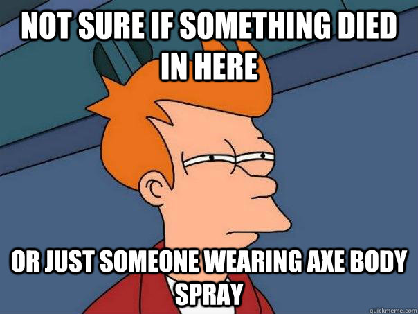 Not sure if something died in here Or just someone wearing Axe body spray   Futurama Fry