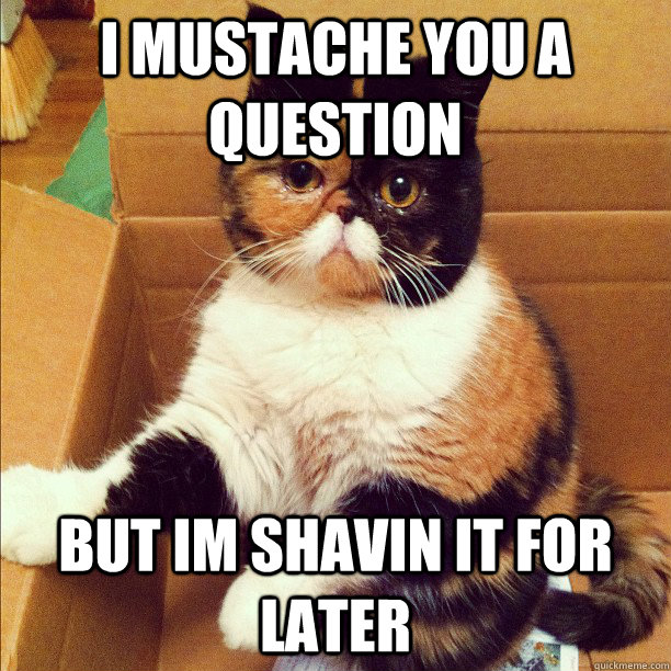 I mustache you a question But im shavin it for later  mustache cat