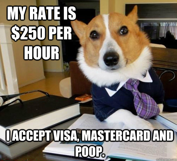 My rate is $250 per hour I accept visa, mastercard and poop.  Lawyer Dog