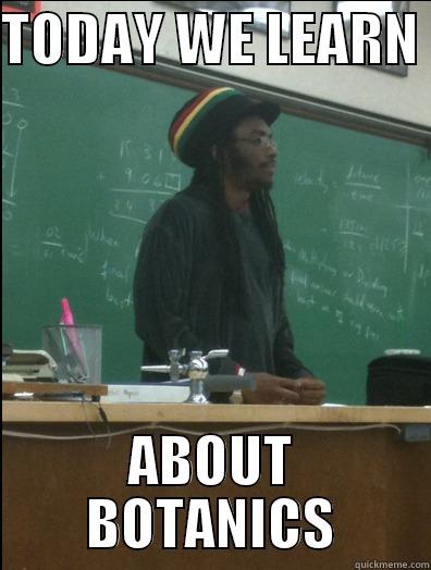 TODAY WE LEARN  ABOUT BOTANICS Rasta Science Teacher