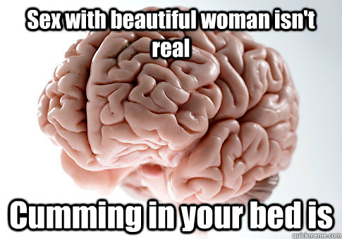 Sex with beautiful woman isn't real Cumming in your bed is  Scumbag Brain