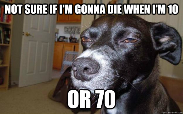 not sure if I'm gonna die when I'm 10 or 70  Skeptical Mutt