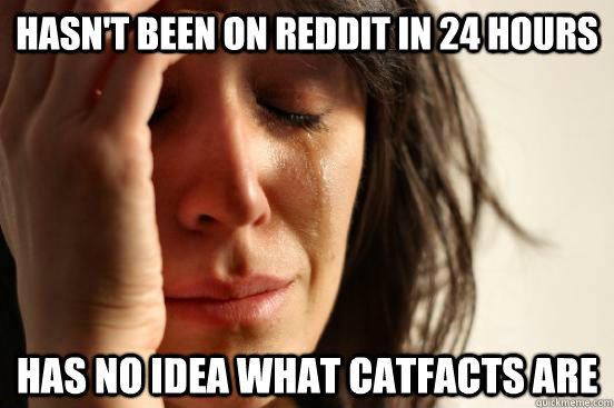 Hasn't been on Reddit in 24 hours has no idea what catfacts are  First World Problems