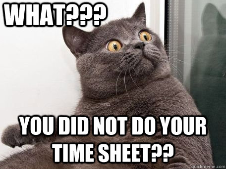 WHAT??? You did not do your time sheet??  conspiracy cat