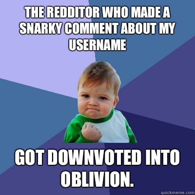 The redditor who made a snarky comment about my username got downvoted into oblivion.  Success Kid