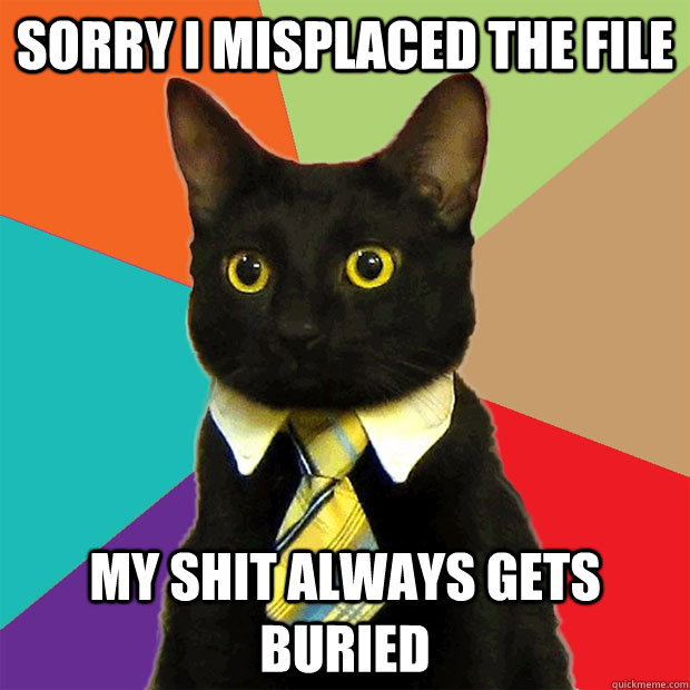 sorry I misplaced the file My shit always gets buried - sorry I misplaced the file My shit always gets buried  Business Cat