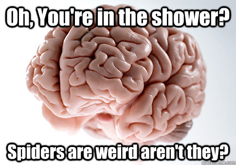 Oh, You're in the shower? Spiders are weird aren't they?  Scumbag Brain