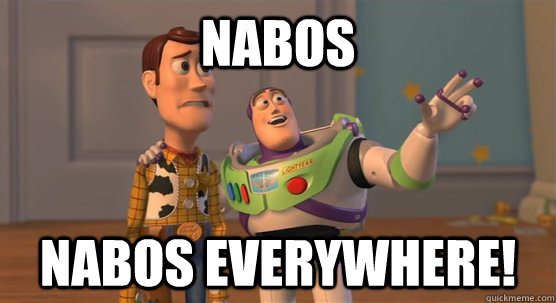 Nabos Nabos everywhere!  Toy Story Everywhere