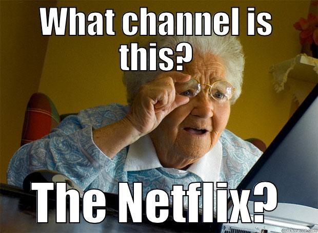 WHAT CHANNEL IS THIS? THE NETFLIX? Grandma finds the Internet