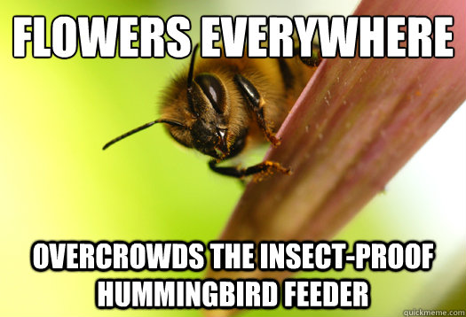 Flowers Everywhere Overcrowds the insect-proof hummingbird feeder  