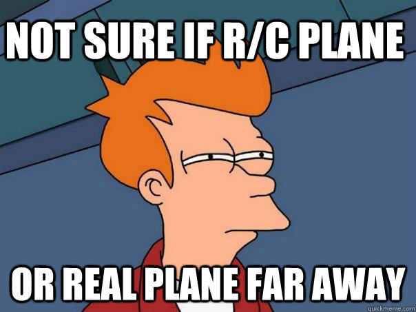 Not sure if R/C plane or real plane far away  Futurama Fry