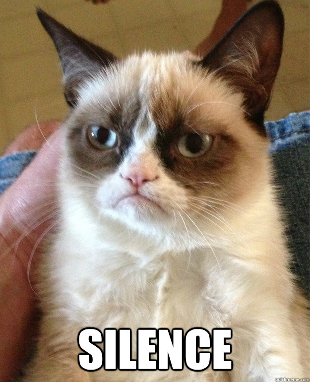  SILENCE  Grumpy Cat