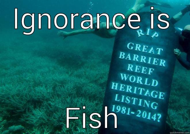 IGNORANCE IS FISH Misc