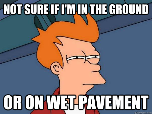 Not sure if I'm in the ground Or on wet pavement  Futurama Fry