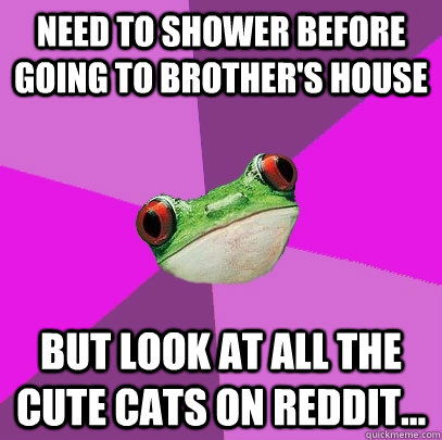 Need to shower before going to brother's house but look at all the cute cats on reddit...  Foul Bachelorette Frog