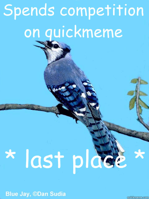 Spends competition on quickmeme * last place *  Blue Team Bird