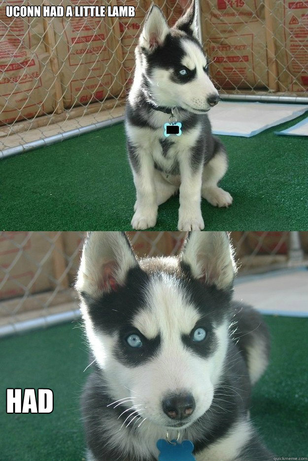 UConn had a Little Lamb HAD  Insanity puppy