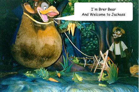 I'm Brer Bear And Welcome to Jackass - Splashass - quickmeme