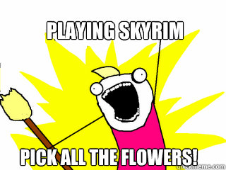 playing skyrim pick all the flowers!  All The Things