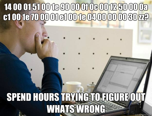 14 00 01 51 00 1e 90 00 0f 0c 00 12 50 00 0a c1 00 1e 70 00 01 e1 00 1e 04 00 00 00 30 zz? SPEND HOURS TRYING TO FIGURE OUT WHATS WRONG  Programmer