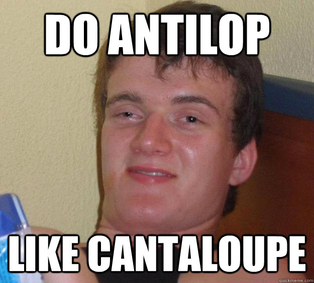 Do antilop  like cantaloupe - Do antilop  like cantaloupe  10 Guy