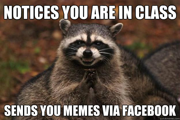 notices you are in class Sends you memes via Facebook  Evil Plotting Raccoon