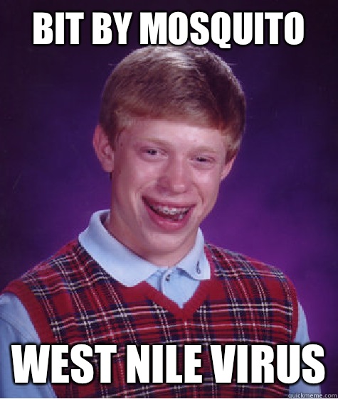 Bit by mosquito  West Nile virus - Bit by mosquito  West Nile virus  Bad Luck Brian