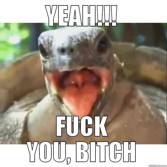 Fuck Yeah Turtle - YEAH!!! FUCK YOU, BITCH Misc