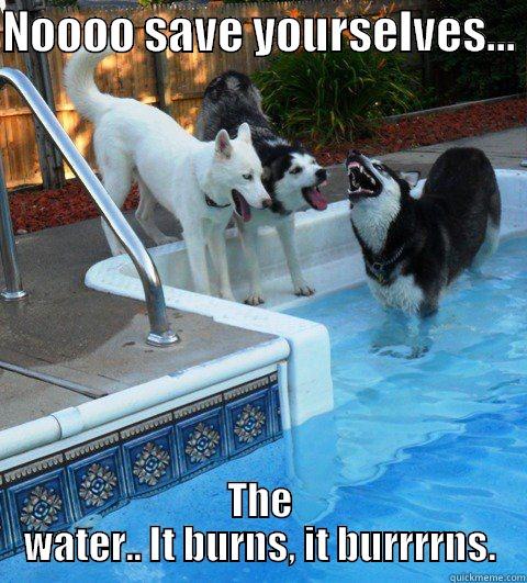 NOOOO SAVE YOURSELVES...  THE WATER.. IT BURNS, IT BURRRRNS. Misc