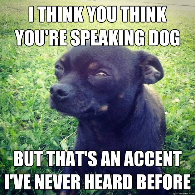 I think you think you're speaking Dog But that's an accent I've never heard before  Skeptical Dog
