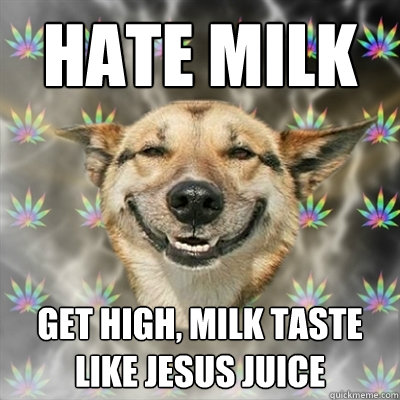 Hate milk get high, milk taste like jesus juice  Stoner Dog