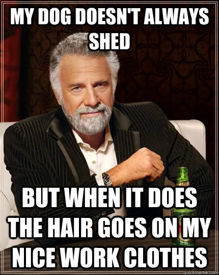 My Dog doesn't always shed but when it does the hair goes on my nice work clothes - My Dog doesn't always shed but when it does the hair goes on my nice work clothes  The Most Interesting Man In The World